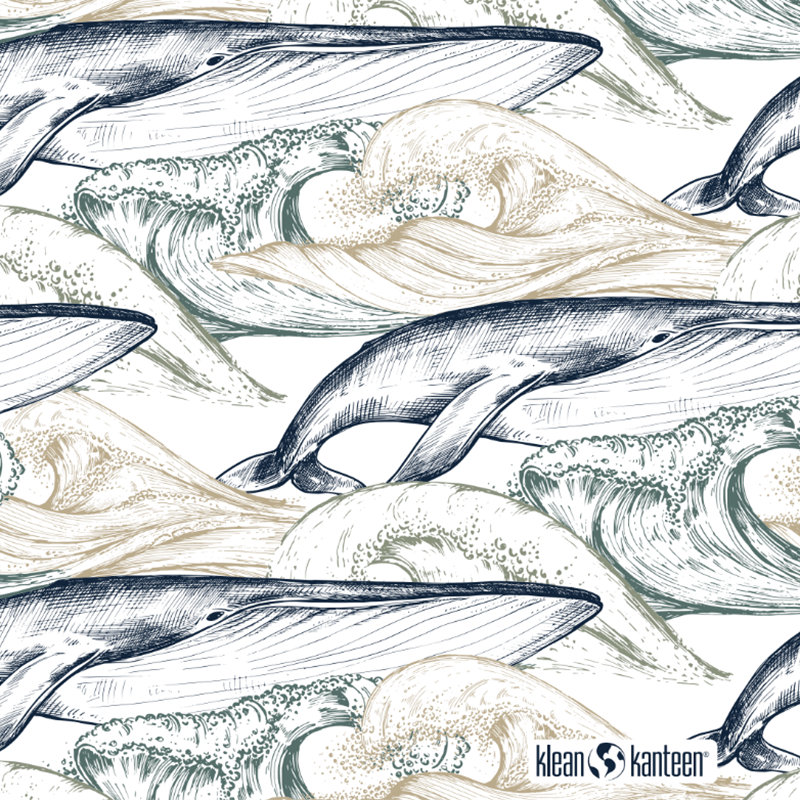 20oz-tkwide-with-twist-cap-ocean-day-e2 20oz_tkwide_bottle_seasonal_ocean_day_whale_artwork_square.png